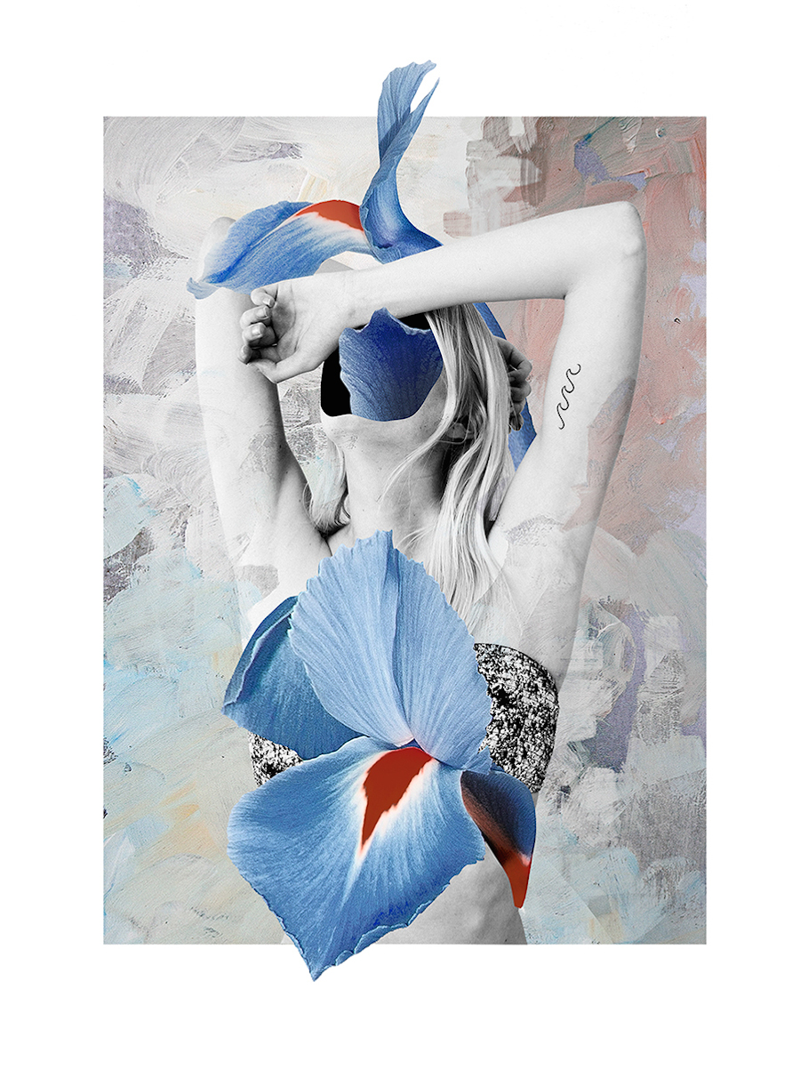 floral-mixed-media-collages-by-ernesto-artillo-4