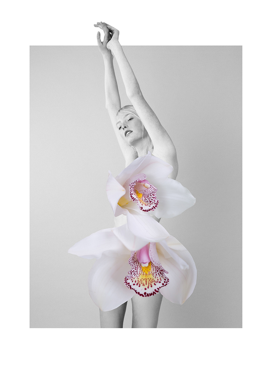 floral-mixed-media-collages-by-ernesto-artillo-8